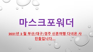 2021 년 2 월 마스크 포워더 부산/대구/경주로 신혼여행 다녀오다.....