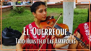 Trío Huasteco Las Amapolas - El Querreque