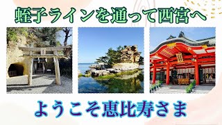 七福神「恵比寿さま」蛭子さまが現れた‼️商売繁盛💴✨弥栄