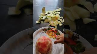 🍉 Watermelon Cutting1st Method #ytshorts#reels#youtubepartner#ad#shortfeed #tiktok#watermeloncutting