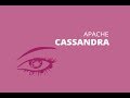 How To Backup And Restore A Cassandra Keyspace In Linux