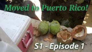 S1E1: I moved to Puerto Rico!