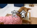 【アレルギー症状】【アトピー性皮膚炎】カイカイの原因は？