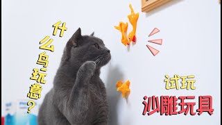 主人买来网红“沙雕小玩具”，金毛和猫咪被整懵了！