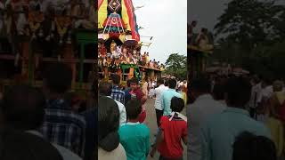 Shree baldev Jew rathayatra.2