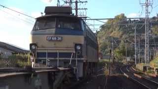 貨物列車1097レ(EF66-36): 2014/12/06