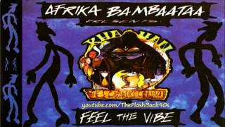 Afrika Bambaataa - Feel The Vibe (Extended Mix)