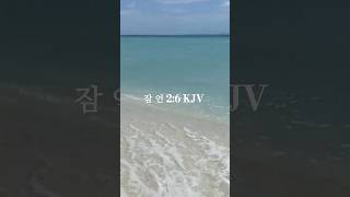 성경힐링 || 오늘의 말씀 - 잠 언 2:6 #성경 #성경읽기 #잠언 #shorts