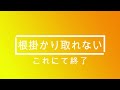 「４月鶴見川」シーバス釣行