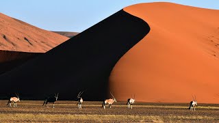 NAMIBIA by Drone: A Spectacular Journey through Unique Landscapes and Diverse Wildlife