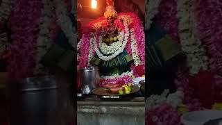 ஆதி ஜோதி வேத பார்வதி வாராஹி #tn360iraivanadi#varagi #viral#aanmeegam #amman #kovil#shortsviral#trend