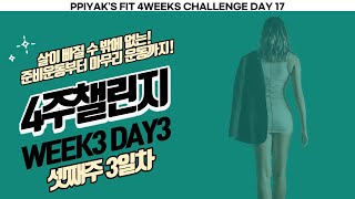 DAY17 셋째주 3일차 - 삐약스핏 4주챌린지 프로그램 Ppiyak's fit 4weeks challenge