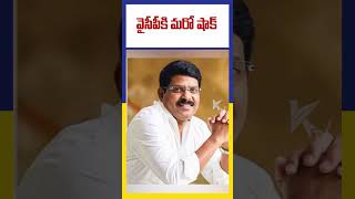 వైసీపీ కి మరో షాక్ | YSRCP | MADISETTY BROTHERS |