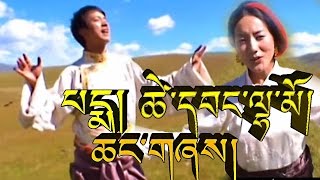 ཆང་གཞས། ཚེ་དབང་ལྷ་མོ་དང་པད་མ། WINE SONG BY PEMA \u0026 TSEWANG LHAMO