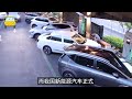 燃油車要比純電車更危險？ 國家消防局發佈一組數據，專家：別因無知而選錯 汽車 電動車 新能源汽車 純電車 汽車自燃 汽車事故