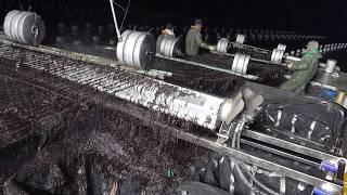 Awesome process! Process of making seasoned seaweed. korean food factory