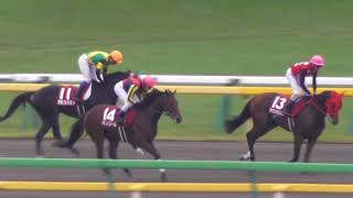 2017 第65回 アイルランドトロフィー府中牝馬ステークス(ＧＩＩ) ウィニングラン 現地映像 クロコスミア