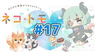 【ネコトモ#17】お昼のネコトモ！いや、クマトモ？！【堰代ミコ / ハニスト】