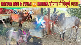 Mathur 1001 \u0026 viman 🆚 Bhunga होणार मैत्रिपूर्ण लढत