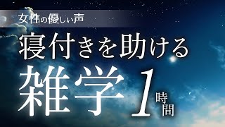 【睡眠導入】寝つきを助ける雑学雑学1時間【女性朗読】