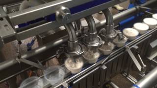 FILLFAST VOLUMETRIC FF500-H2-SD for filling liver mousse in cups