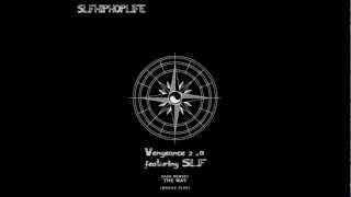 Zack Hemsey - Vengeance 2.0 featuring SLF