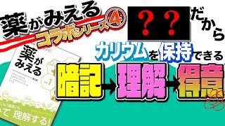 【誰でも理解できる作用機序】利尿薬の薬理後半！カリウム保持性利尿薬とバソプレシン受容体拮抗薬を解説！