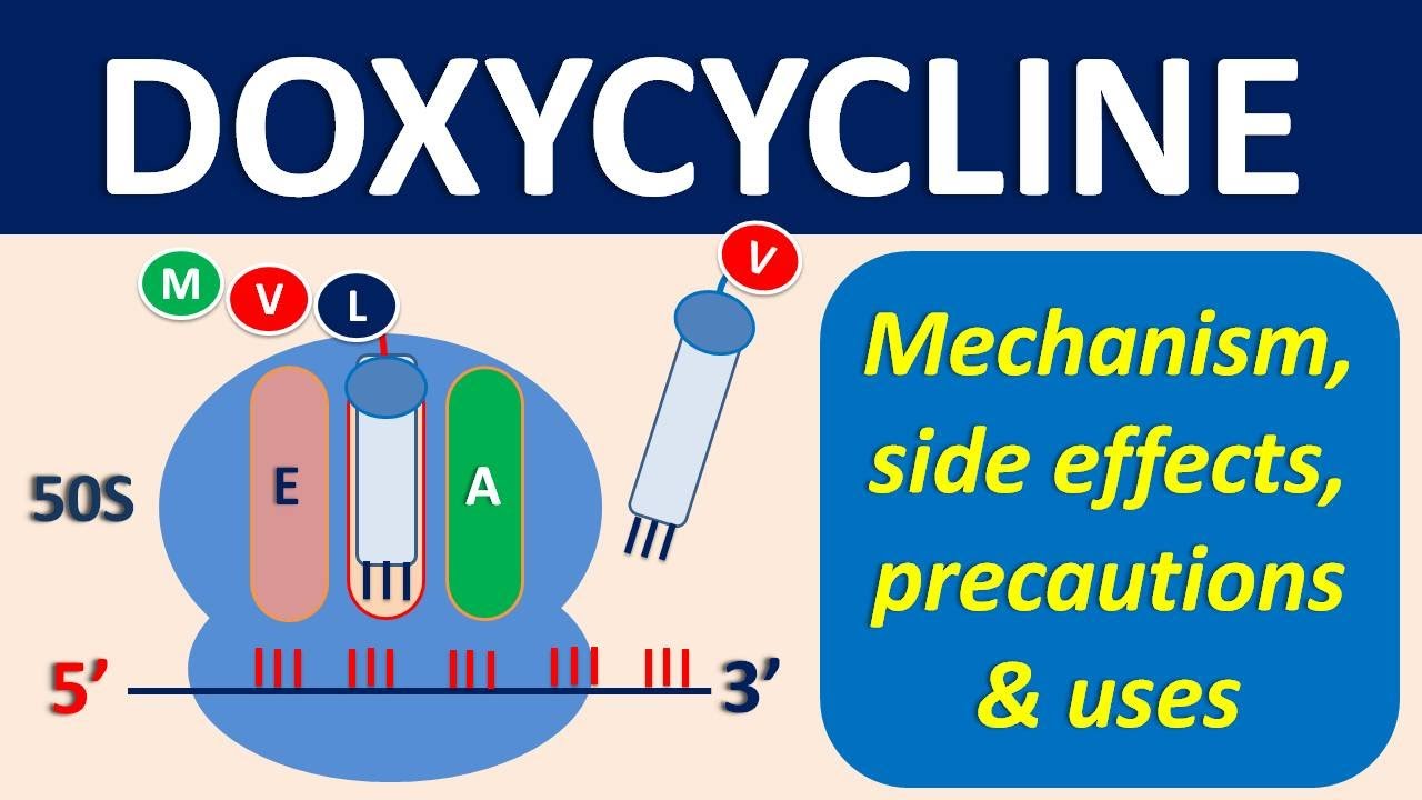 Doxycycline - Mechanism, Precautions, Side Effects & Uses - YouTube