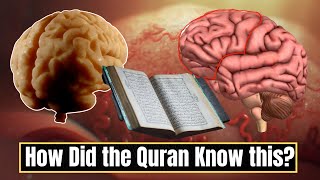 Quran Knew this before science