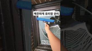 유리창 관리 언제나 깨끗하게! #유리창청소 #유리청소 #청소 #꿀팁 #clean #cleaning #cleanup #windowcleaning