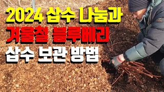 블루베리 삽수 겨울철 보관 방법과 나눔 발송(나눔 신청은 반드시 문자로 해주세요. 010 3604 4094)