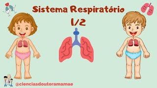 Sistema Respiratório  5º ano fundamental 1/2