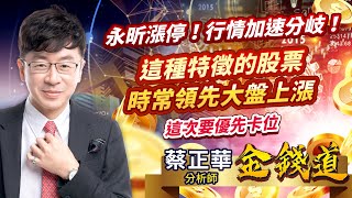 2022.08.29【永昕漲停！行情加速分岐！這種特徵的股票時常領先大盤上漲，這次要優先卡位】