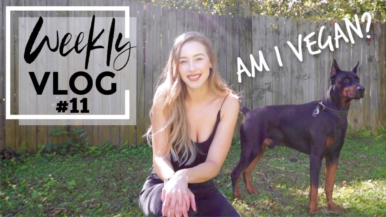 Vlog Week 11â I M Addicted To Self Improvement Youtube