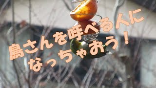 鳥さんを呼べる人になっちゃおう その1 バードフィーダーの作り方