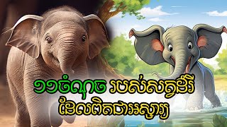 លក្ខណៈពិសេសទាំង១១ចំណុចរបស់សត្វដំរីដែលមិនសូវមានអ្នកដឹង(Elephant)