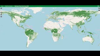 The EU’s Regulation on Deforestation free Products and the Role of Earth Observation