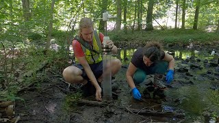 Introducing the Clark University School of Climate, Environment, and Society