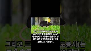 지도자 숫자 #국운 #대예언 #국운예언