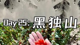 自驾新疆 开特斯拉自驾新疆的第25天：青海黑独山。离开新疆，继续开始我们的青甘大环线，下一站：大柴旦翡翠湖，东台吉乃尔湖，U型公路，孤独星际自驾游 大西北 风景都在路上 特斯拉 黑独山