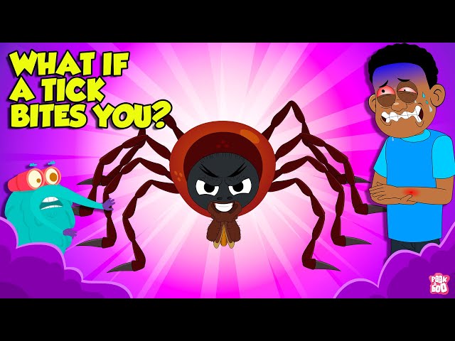 Deadliest Parasites How Ticks Suck Blood What If A Tick Bites