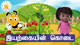 இயற்கையின் கொடை -தமிழரசி|Plant Story for kids and children| குழந்தைகளுக்கான கதைகள்|Tamilarasi