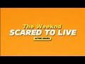 The Weeknd - Scared To Live (Lyrics)