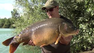 The Pursuit of the Monster - Gigantica Masterclass