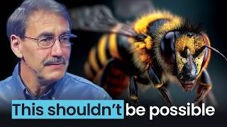 The Incredible Design of Honeybees: Proof of a Brilliant Creator