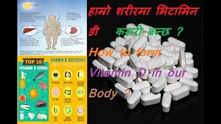 हाम्रो शरीरमा भिटामिन डी  कसरी बन्छ ? How to form Vitamin D in our Body ? || by Dr Kalyan