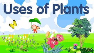 Uses of Plants for kids | Plants and their uses | Plants uses