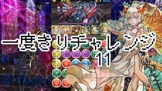 【パズドラ】一度きりチャレンジ！11　ミルPT 初見ノーコン