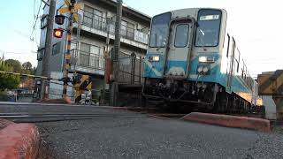 ＪＲ四国　土讃線　高知商業前駅から鏡川鉄橋まで歩き撮り　2023/11/21