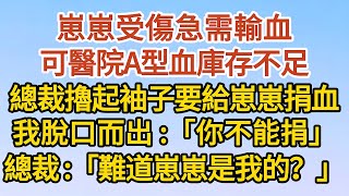 《崽崽是我的？》第08集：崽崽受傷急需輸血，可醫院A型血庫存不足，總裁擼起袖子要給崽崽捐血，我脫口而出：「你不能捐」，總裁：「難道崽崽是我的？」#戀愛#婚姻#情感 #愛情#甜寵#故事#小說#霸總